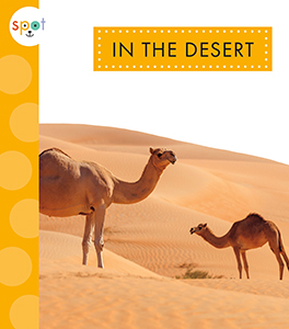 Cover Art for In the Desert