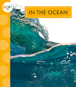 Cover Art for In the Ocean