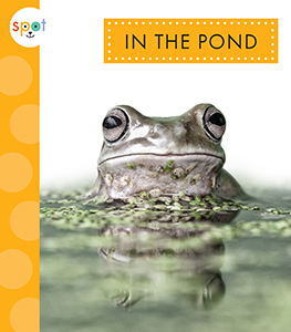 Cover Art for In the Pond