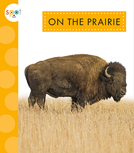 Cover Art for On the Prairie