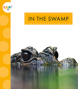 Cover Art for In the Swamp