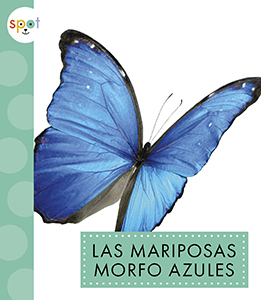 Cover Art for Las mariposas morfo azules