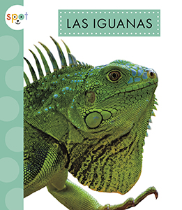 Cover Art for Las iguanas