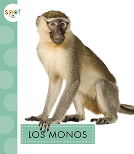 Cover Art for Los monos