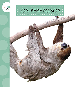 Cover Art for Los perezosos