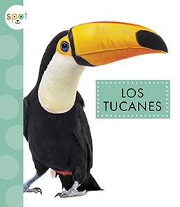 Cover Art for Los tucanes