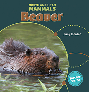 Cover Art for Beaver