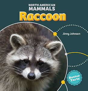 Cover Art for Raccoon