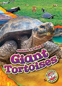Cover Art for Giant Tortoises