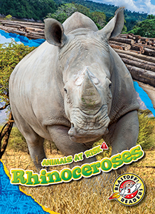 Cover Art for Rhinoceroses