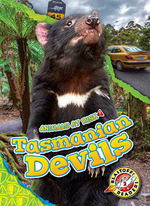 Cover Art for Tasmanian Devils