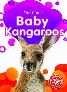 Cover Art for Baby Kangaroos