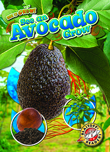 Cover Art for See an Avocado Grow