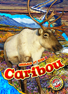 Cover Art for Caribou