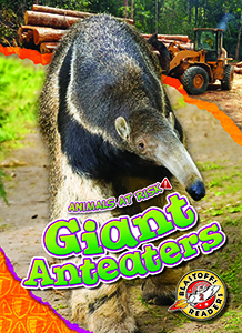 Cover Art for Giant Anteaters