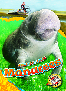 Cover Art for Manatees