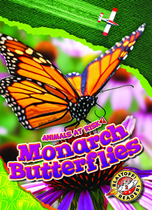 Cover Art for Monarch Butterflies