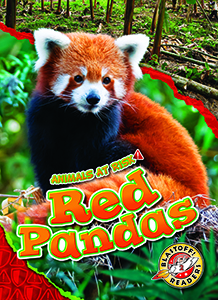 Cover Art for Red Pandas