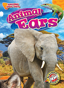 Cover Art for Animal Ears