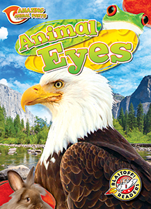 Cover Art for Animal Eyes
