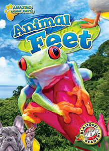 Cover Art for Animal Feet