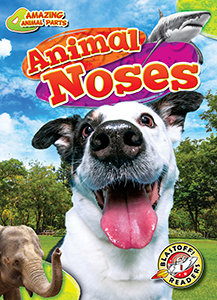 Cover Art for Animal Noses
