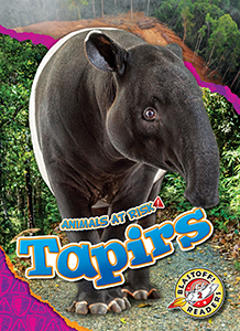 Cover Art for Tapirs