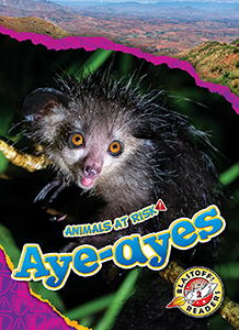 Cover Art for Aye-ayes