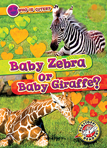 Cover Art for Baby Zebra or Baby Giraffe?