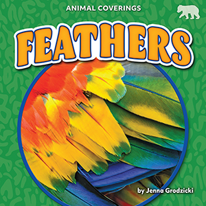 Cover Art for Feathers
