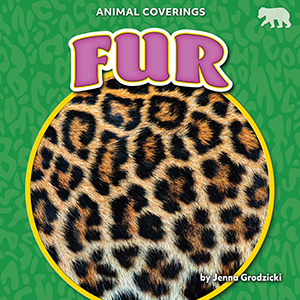 Cover Art for Fur