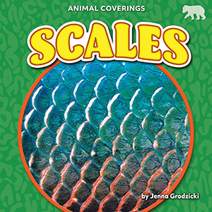 Cover Art for Scales
