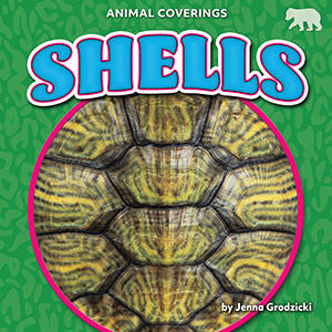 Cover Art for Shells