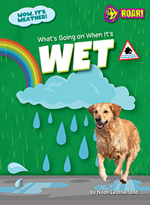 Cover Art for What's Going on When It's Wet
