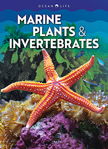 Cover Art for Marine Plants & Invertebrates