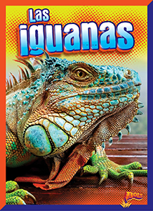 Cover Art for Las iguanas