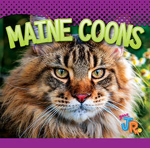 Cover Art for Maine Coons