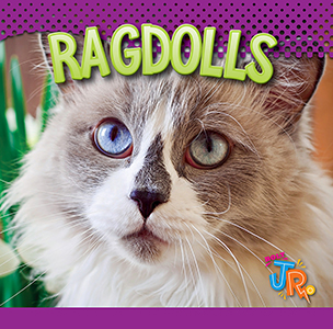 Cover Art for Ragdolls