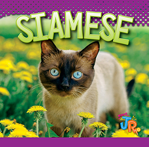 Cover Art for Siamese