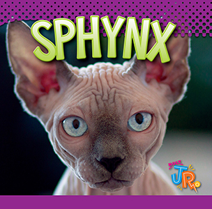 Cover Art for Sphynx