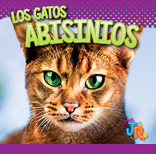 Cover Art for Los Gatos Aabisinios