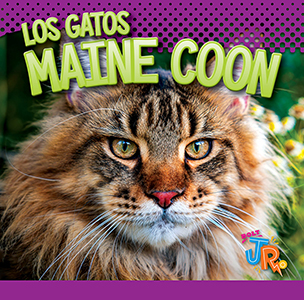 Cover Art for Los Gatos Maine Coon