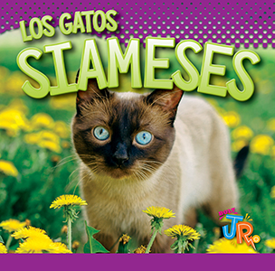 Cover Art for Los Gatos Siameses