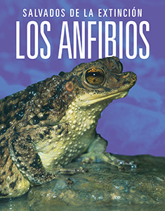 Cover Art for Los anfibios