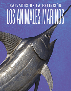 Cover Art for Los animales marinos