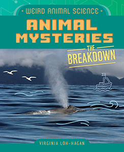 Cover Art for Animal Mysteries