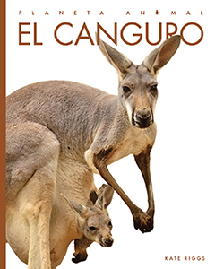 Cover Art for El canguro