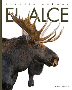 Cover Art for El alce