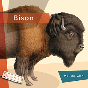 Cover Art for Bison