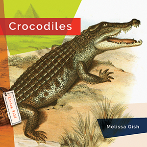 Cover Art for Crocodiles